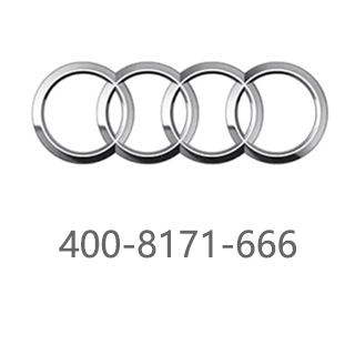 奥迪 400-8171-666